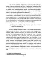 Referāts 'Degradēto teritoriju kategorijas un piemēri', 6.