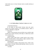 Diplomdarbs 'Lauku tūrisma produkta pārdošanas veicināšana Ludzas novadā', 45.