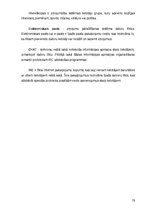 Diplomdarbs 'Internata pamati', 19.