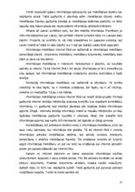 Diplomdarbs 'Internata pamati', 21.