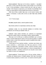 Diplomdarbs 'Internata pamati', 43.