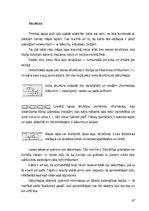 Diplomdarbs 'Internata pamati', 47.