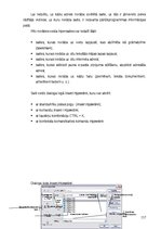 Diplomdarbs 'Internata pamati', 117.