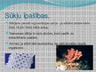 Prezentācija 'Sūkļi', 9.