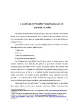 Referāts 'Administratīvās atbildības par pašvaldību saistošo noteikumu neievērošanu', 4.