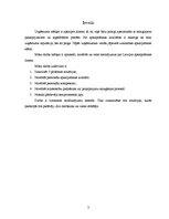 Referāts 'Pētījuma "Apkalpošana veikalos" atskaite', 3.