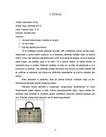 Referāts 'Pētījuma "Apkalpošana veikalos" atskaite', 6.