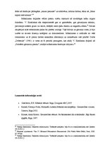 Referāts 'Vasilija Kandinska daiļrade', 6.