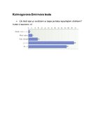 Prezentācija 'Individuālā pētījuma atskaite', 7.