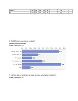Prezentācija 'Individuālā pētījuma atskaite', 13.