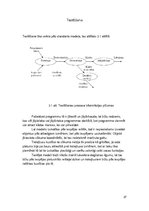 Paraugs 'Programmēšanas tehnoloģijas industriālajā elektronikā', 27.