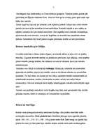 Referāts 'Senā Roma', 7.