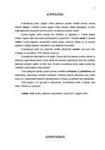 Diplomdarbs 'Pagasta svētku pasākuma projekta izstrāde kultūras nozares iestādē', 3.