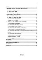 Diplomdarbs 'Pagasta svētku pasākuma projekta izstrāde kultūras nozares iestādē', 5.