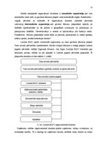 Diplomdarbs 'Pagasta svētku pasākuma projekta izstrāde kultūras nozares iestādē', 16.