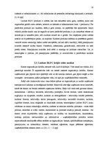 Diplomdarbs 'Pagasta svētku pasākuma projekta izstrāde kultūras nozares iestādē', 19.