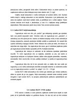 Diplomdarbs 'Pagasta svētku pasākuma projekta izstrāde kultūras nozares iestādē', 21.