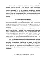 Diplomdarbs 'Pagasta svētku pasākuma projekta izstrāde kultūras nozares iestādē', 23.