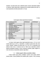 Diplomdarbs 'Pagasta svētku pasākuma projekta izstrāde kultūras nozares iestādē', 32.