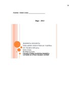 Diplomdarbs 'Pagasta svētku pasākuma projekta izstrāde kultūras nozares iestādē', 39.