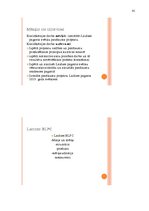 Diplomdarbs 'Pagasta svētku pasākuma projekta izstrāde kultūras nozares iestādē', 41.