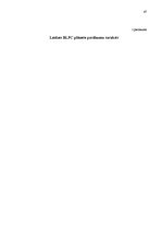 Diplomdarbs 'Pagasta svētku pasākuma projekta izstrāde kultūras nozares iestādē', 47.