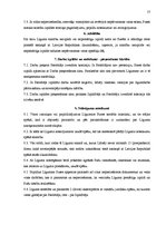 Diplomdarbs 'Pagasta svētku pasākuma projekta izstrāde kultūras nozares iestādē', 57.