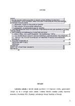 Diplomdarbs 'Lasītprasmes sekmēšanas iespējas bērniem ar viegliem garīgās attīstības traucēju', 2.