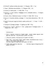 Diplomdarbs 'Lasītprasmes sekmēšanas iespējas bērniem ar viegliem garīgās attīstības traucēju', 63.
