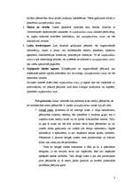 Konspekts 'Izlase. Izlases tipi un veidi', 3.