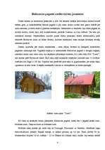 Referāts 'Balvu rajona Baltinavas pagasta tūrisma resursu analīze un iespējamais tūrisma p', 4.