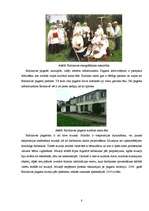 Referāts 'Balvu rajona Baltinavas pagasta tūrisma resursu analīze un iespējamais tūrisma p', 8.