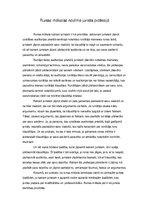 Eseja 'Runas mākslas nozīme jurista profesijā', 1.