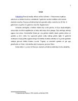 Referāts 'Viduslaiku pilsēta Francijā', 3.