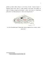 Referāts 'Viduslaiku pilsēta Francijā', 7.