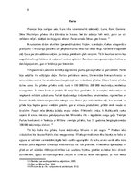 Referāts 'Viduslaiku pilsēta Francijā', 8.