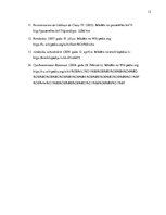 Referāts 'Viduslaiku pilsēta Francijā', 12.