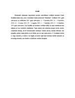 Referāts 'Daces Rukšānes stilistiski lingvistiskā teksta analīze', 2.