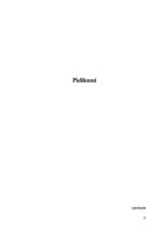 Referāts 'Eiropas Savienības pirmsiestāšanās finanšu instrumenti', 12.