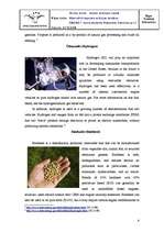 Referāts 'Alternatīvā degviela aviācijas dzinējos', 6.