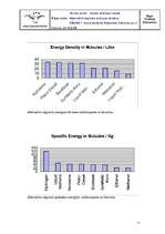 Referāts 'Alternatīvā degviela aviācijas dzinējos', 11.