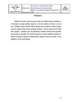 Referāts 'Alternatīvā degviela aviācijas dzinējos', 16.