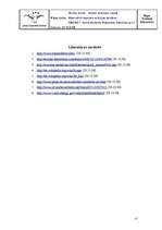 Referāts 'Alternatīvā degviela aviācijas dzinējos', 17.