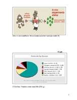 Referāts 'Gē­nu te­ra­pi­ja – re­ali­tā­te vai ie­spēja', 26.