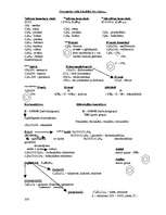 Konspekts 'Organisko vielu klasifikācijas lapas', 1.