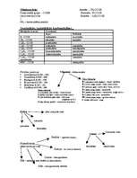 Konspekts 'Organisko vielu klasifikācijas lapas', 2.