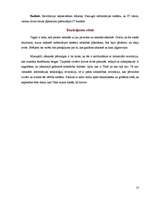 Referāts '21.gadsimta informācijas sistēmas', 10.