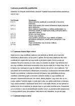 Biznesa plāns 'Jāšanas sporta bāze "Zirgu Pasaule"', 6.