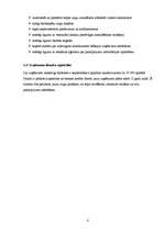 Biznesa plāns 'Jāšanas sporta bāze "Zirgu Pasaule"', 8.