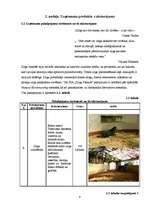 Biznesa plāns 'Jāšanas sporta bāze "Zirgu Pasaule"', 9.